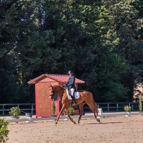 8958fb8f-0e24-46e0-b074-d2582817e8f8